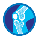 Orthopaedic Surgery